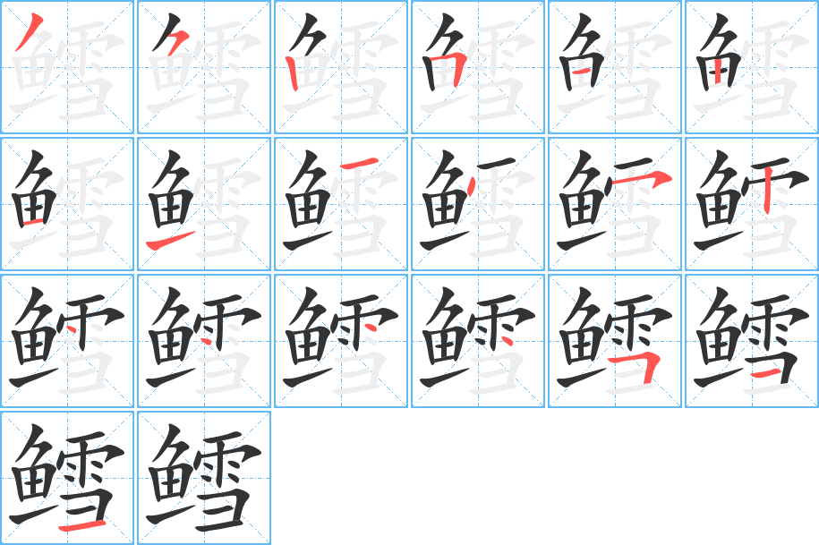 鳕的笔画顺序字笔顺的正确写法图