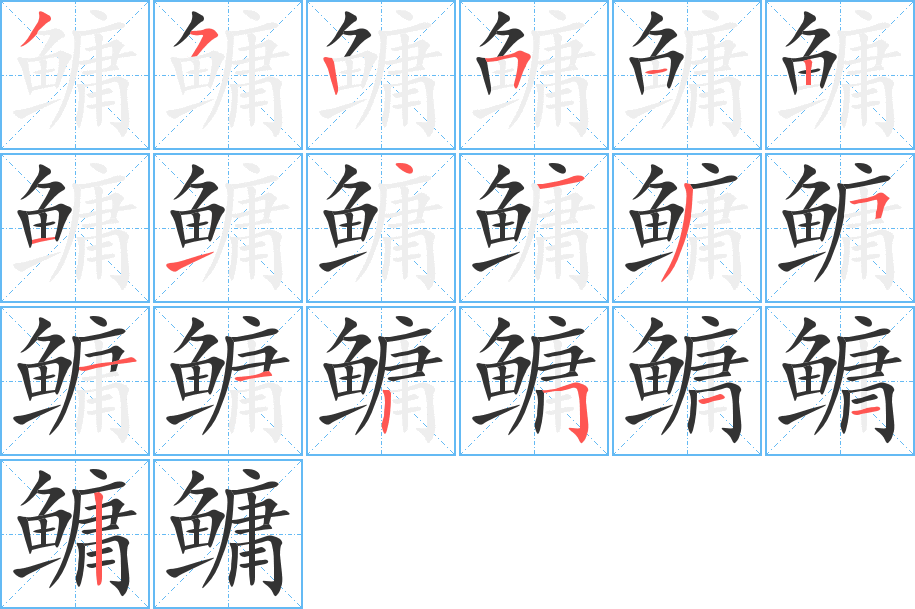 鳙的笔画顺序字笔顺的正确写法图