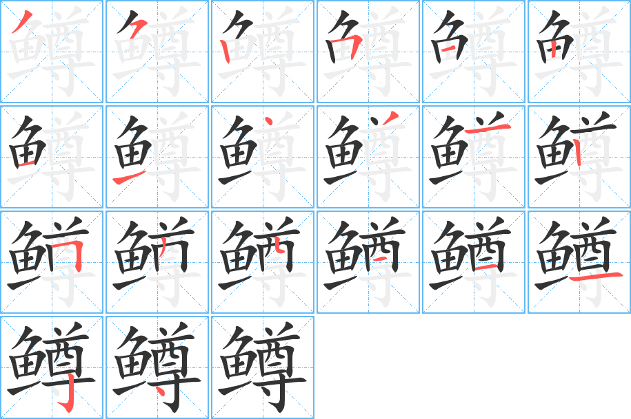 鳟的笔画顺序字笔顺的正确写法图