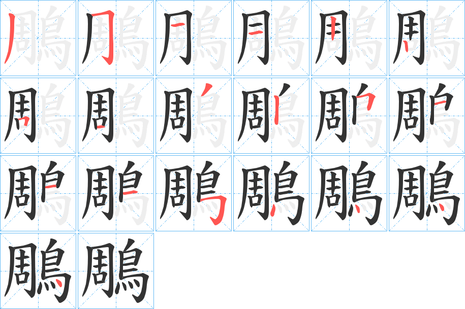 鵰的笔画顺序字笔顺的正确写法图