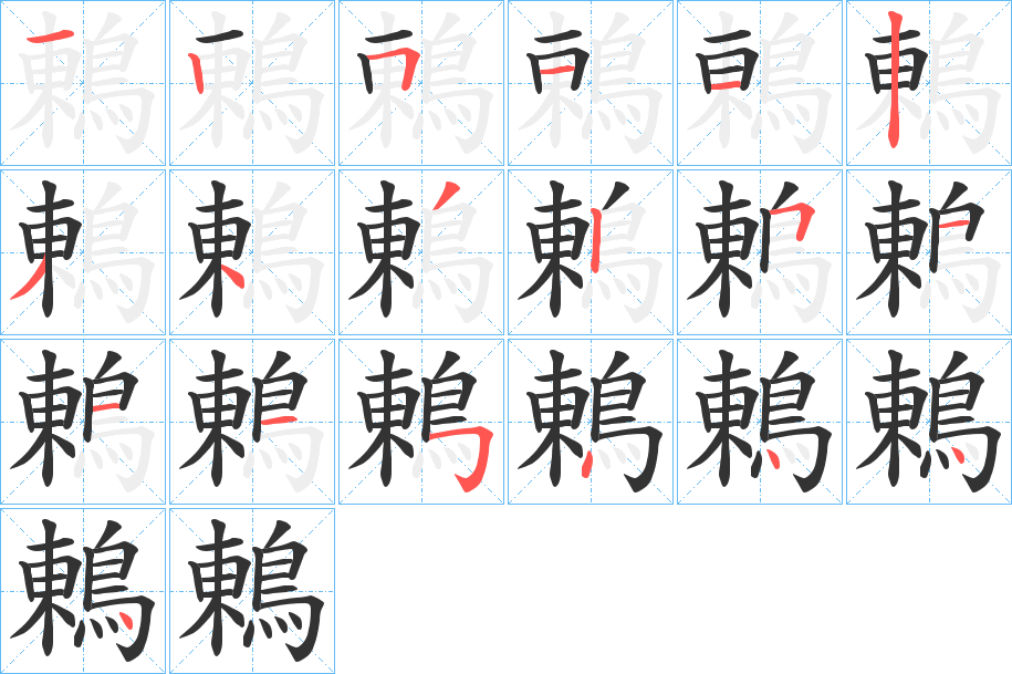 鶇的笔画顺序字笔顺的正确写法图