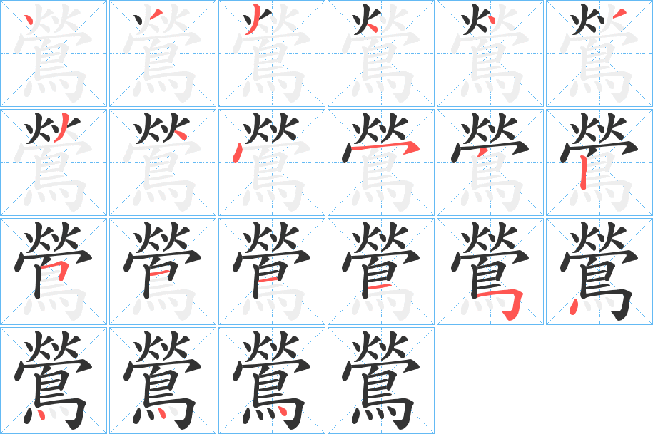 鶯的笔画顺序字笔顺的正确写法图