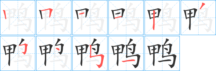 鸭的笔画顺序字笔顺的正确写法图