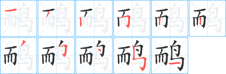 鸸的笔画顺序字笔顺的正确写法图