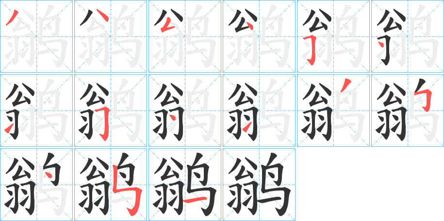 鹟的笔画顺序字笔顺的正确写法图