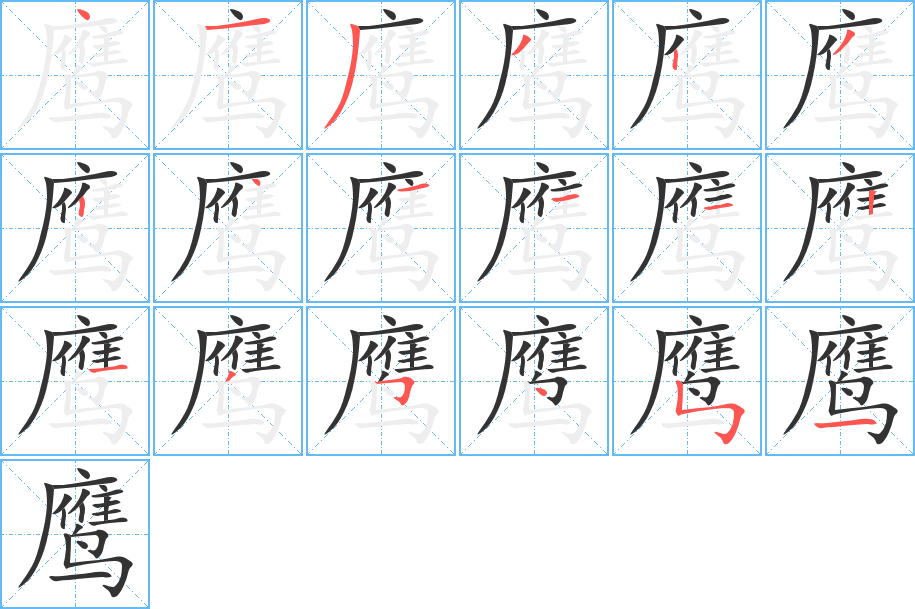 鹰的笔画顺序字笔顺的正确写法图