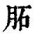 𦚈(印刷字体·清·康熙字典)