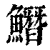 𩻛(印刷字体·清·康熙字典)