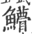 䲛(印刷字体·宋·广韵)