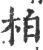 柏(印刷字体·宋·广韵)