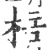 棓(印刷字体·宋·广韵)