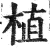 植(印刷字体·明·洪武正韵)