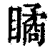 瞲(印刷字体·清·康熙字典)