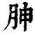 胂(印刷字体·清·康熙字典)