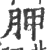 胛(印刷字体·宋·广韵)