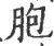 胞(印刷字体·宋·广韵)