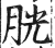 胱(印刷字体·明·洪武正韵)