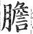 膽(印刷字体·明·洪武正韵)