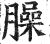 臊(印刷字体·明·洪武正韵)