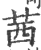 茜(印刷字体·宋·广韵)