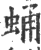 蛹(印刷字体·宋·广韵)