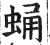 蛹(印刷字体·明·洪武正韵)