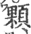 顆(印刷字体·宋·广韵)