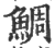 鯛(印刷字体·宋·广韵)