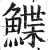 鲽(印刷字体·明·洪武正韵)