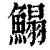 鳎(印刷字体·清·康熙字典)