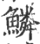 鳞(印刷字体·宋·广韵)