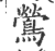 莺(印刷字体·宋·广韵)